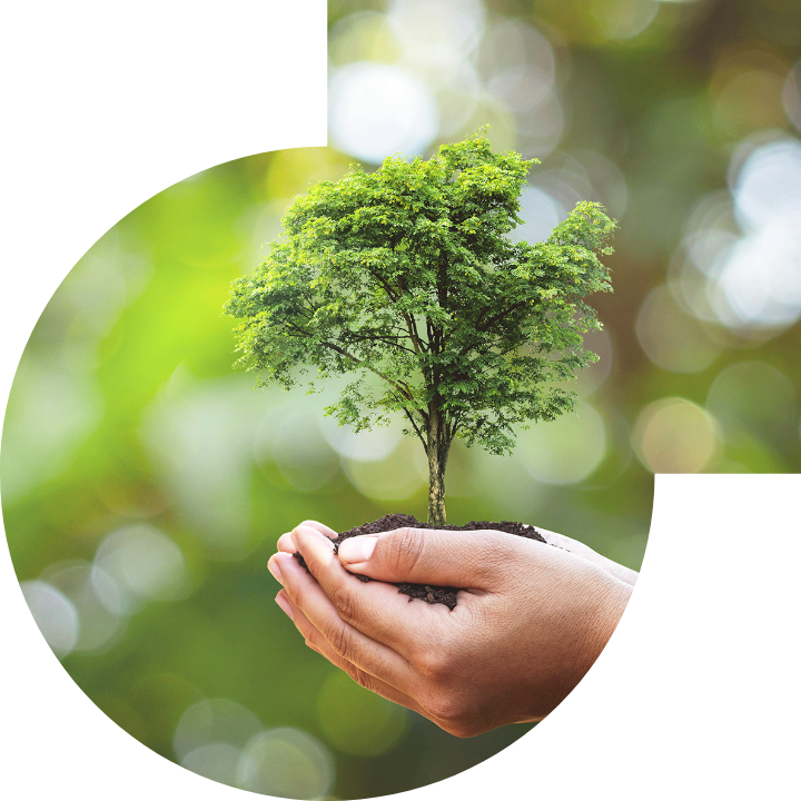 關懷人類、文化、環境與社會